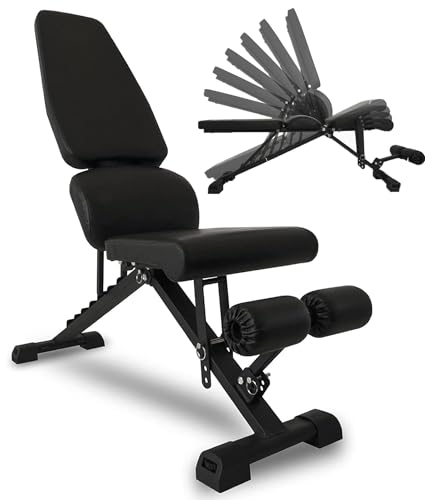 STEADY トレーニングベンチ 【 耐荷重330kg