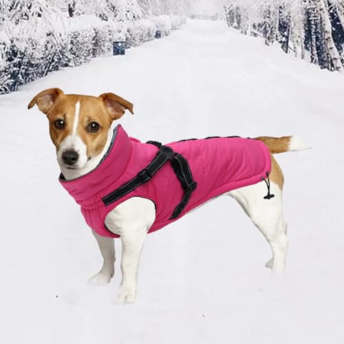 Veste d'hiver pour chien rouge avec fermeture éclair au dos pratique - 8
