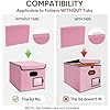 Amazon.com: BALEINE File Organizer Box with Lid, Collapsible File ...