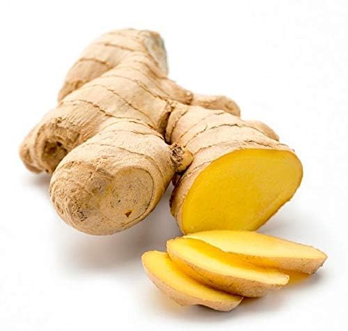 A.R.L. International Fresh Organic Ginger Adrak - (Premium Export Quality) - 2.5 Kg (B0D1C2BCX7) Amazon Price History, Amazon Price Tracker