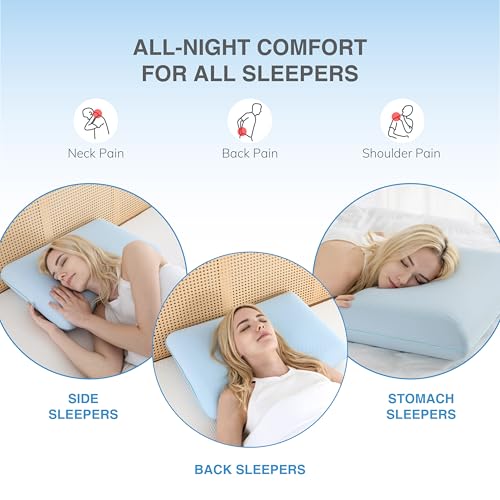 EGOHOME Cooling Gel Memory Foam Pillow thumbnail 8