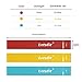 Letsfit Resistance Loop Bands, Resistance Exercise Bands for Home Fitness, Stretching, Strength Training, Physical Therapy, Natural Latex Workout Bands, Pilates Flexbands, 12
