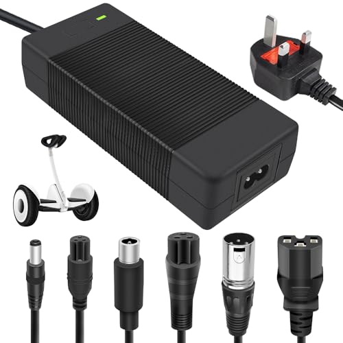 Electric Scooter Charger Fast, Afenau 42V 2A Hoverboard Charger with 6 Connections, Electric Bike charger for Xiaomi Scooter, electric Bike, Mobility scooter