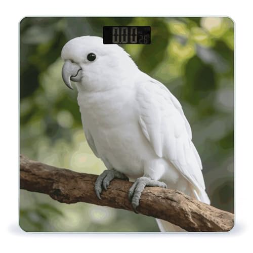 Báscula de Baño Digital White Parrot con LCD y Base Antideslizante