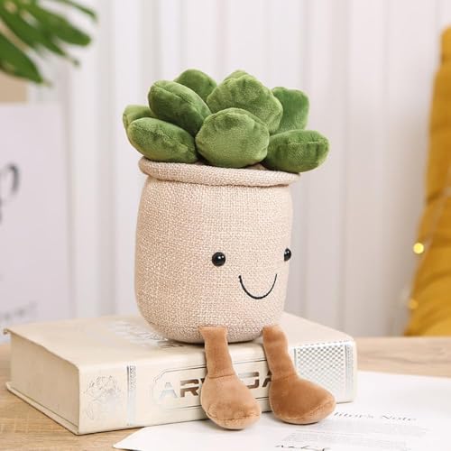 La mejor comparación de Plantas que Puedes Comprar On-line. 23 Imagen adicional