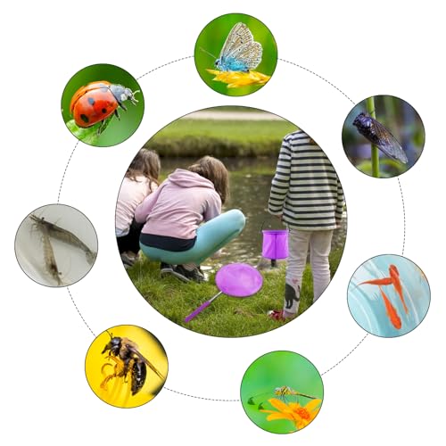 XIAQICA Schmetterlingsnetz Teleskop Kescher Kinder with Faltbarer Eimer Kächersieb Kinder Käscher für Fischernetz Teichnetz Ausziehbar Kleinen Fischen Outdoor Strand Garten (Lila)