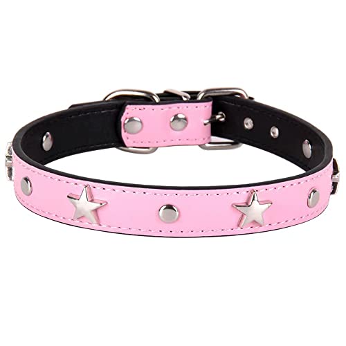 The Star Dog Collar 10 Dog Collar with Stars Studs, Puppy Small Medium Dog Necklace ...