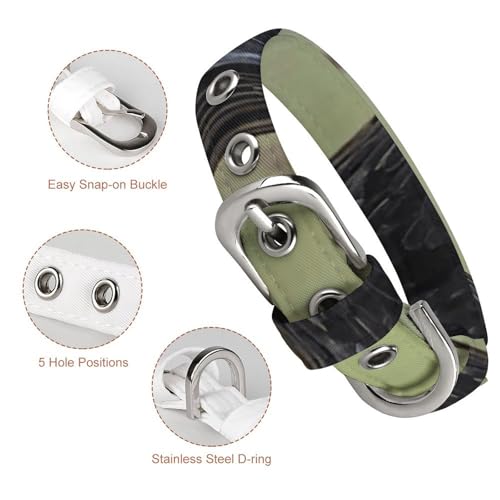Collier pour chien réglable design corbeau avec finitions métal