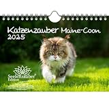 Calendrier Maine-Coon 2025 - Format A5 - Pour chats et bébés chats Seelenzauber