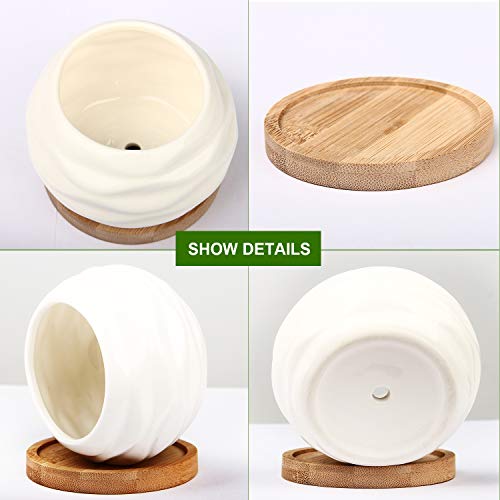 Succulent Planters, ZOUTOG Water Pattern Mini 3.6 inch Ceramic Succulent Pots with Bamboo Trays, Pack of 6 (Plants NOT Included)