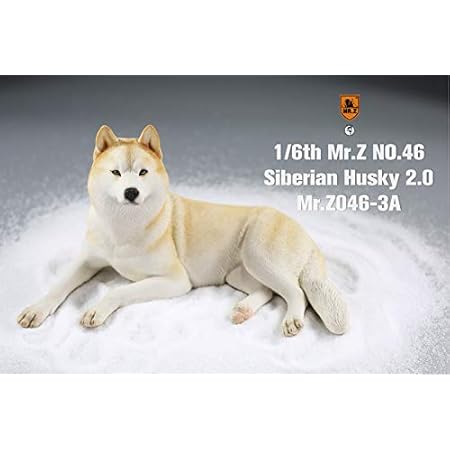 Amazon Mr Z Jxk 1 6 サイズ シベリアン ハスキー 2 0 可愛い 犬 動物 シベリア リアル フィギュア 樹脂 プラモデル プレミアム 大人のおもちゃ 模型 オリジナル スタチュー 塗装済 完成品 犬好き 誕生日 プレゼント 置物 A3 フィギュア ドール 通販