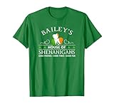 Bailey's House of Shenanigans Irish Family Name T-Shirt, Men, Kelly Green, X-Large