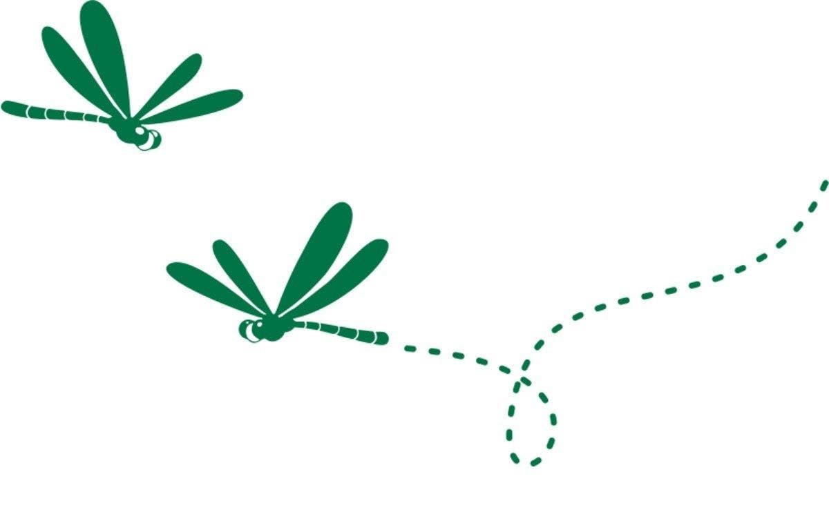 Aufkleber » Libellenpaar, 210x118,3cm, Grün • Dekoaufkleber/Autoaufkleber/Sticker/Decal/Vinyl