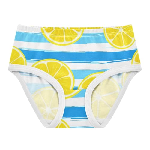 Toddler Underwear Floral 2t Cotton Little Girl Panties Animal Briefs Undies Kids Yellow Lemon Blue Stripes