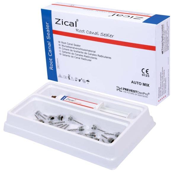PREVEST DenPro Zical Automix Paste ZOE Root Canal Sealer 15g Amazon