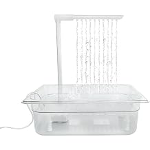 Parakeet, Bath, Bird, Toy, Shower, Automatic Faucet, Bunkweed Parakeet, Bird Container, Birds Bathtub, Bird Shower, Case, Bird Shower, Parrot Bathtub, Bird Bathtub, Bird Bathtub, Bird Bathtub