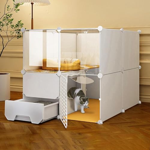 L̃P[WK͂ȑgݗĂꂽL̃GN[W[b^[{bNXALvCy^C[ FANDIAO