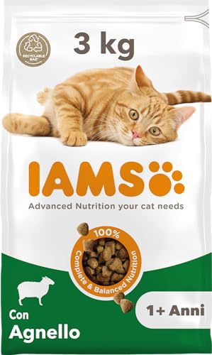IAMS Cibo secco per gatti con agnello - Cibo secco per gatti da 1-6 anni, 3 kg