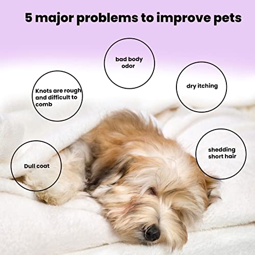 10 Pcs Pet shampoo comprimidos | Limpadores automáticos para estimação com óleo essencial lavanda |