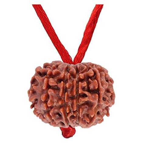 Colgante Rudraksha natural contra el estrés amuleto espiritual unisex con hilo rojo
