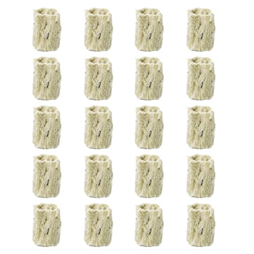 BESPORTBLE 40 Piezas tampones de cultivo sin suelo suciedad tapones de esponja hidropónica apoyo hidropónico Gel favor hidroponia jardin hidroponico pomice lana kit de cultivo sin suelo Green