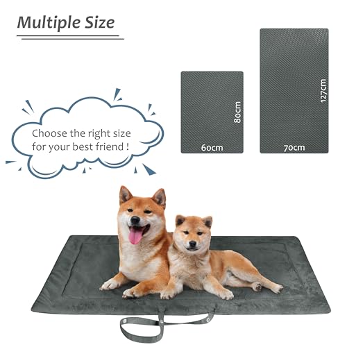 Kritter Planet wasserdichte Katze Hundematte, Faltbare Waschbare Haustier Outdoor Hundedecke für Reisen Camping Outdoor, Faltbare Haustiermatte mit Griffen, Kleine Mittlere Hundebettdecke 127 x 70CM