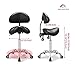 Kaleurrier Saddle Stool Rolling Swivel Height Adjustable with Wheels,Heavy Duty Anti-Fatigue Ergonomic Saddle Chair for Hair Beauty Salon Lab Dental Massage Office Home Kitchen(with Back, Black)