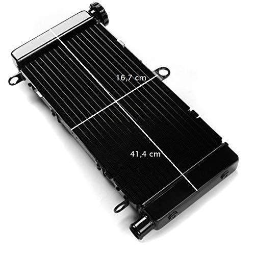 Enfriador de Agua para Honda Hornet 600 98-06 Radiador