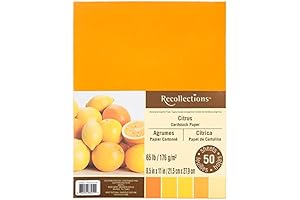Citrus Cardstock Paper Enhanced with 5 Vibrant Colors to Keep Your Recollections Long-Lasting