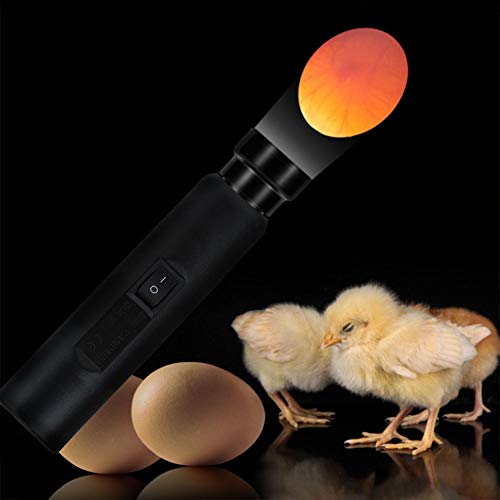 ZJchao LED Egg Candler Light, High Bright Cold LED Hatching Monitor Interchangeable Shades | Thermal-Safe Poultry Tester for Chicken, Duck Quail Eggs Farm Classroom - Image 6