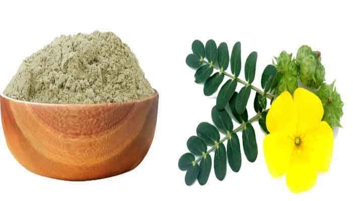 Zone Marketing Organic Nernjil Powder/நெருஞ்சில் பவுடர் -80gm-image-2