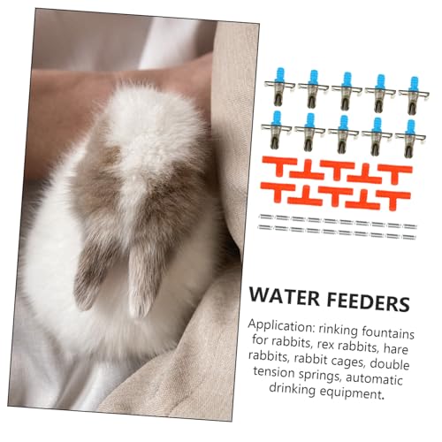 LOLIPPYY 10  pu XvO݌v ϋvƖhH@\t ETMP[WpȒPt ʒ߉\