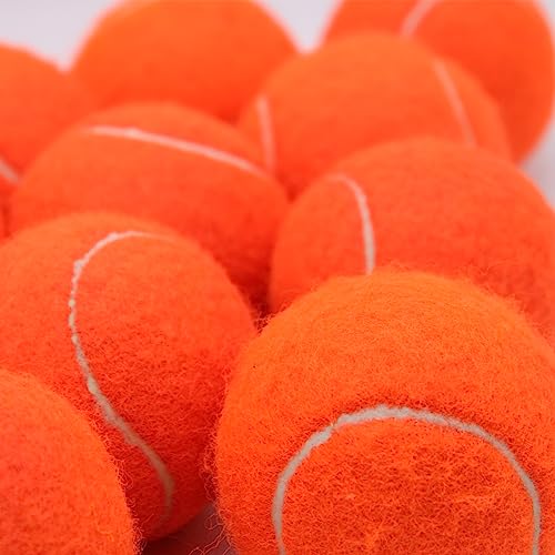 Swingers Tennis Balls,20 Pack Training Tennis Balls,Exercise Balls for Pet Dog, High elasticity Practice Tennis Balls for Beginner, with Mesh Carry Bag Easy to transport (Orange)