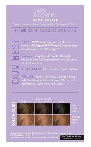 Dark & Lovely Color #380 Chestnut Blonde (Pack Of 2) #TOP1