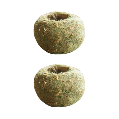 Hohopeti Set 2 Pezzi Fioriera in Muschio Verde Chiaro per Piante Succulente Vaso Bonsai da Tavolo per Casa Ufficio e Decorazione Facile da Piantare e Resistente