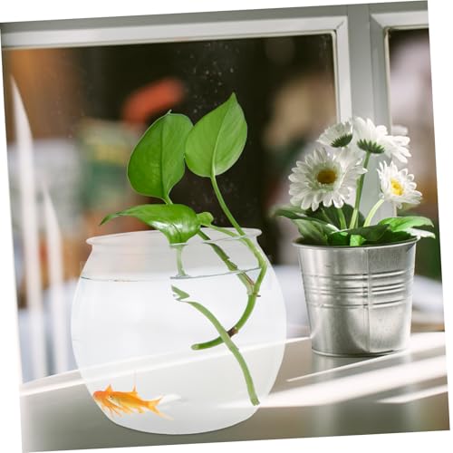 Aquarium transparent compact pour petit appartement sans espace