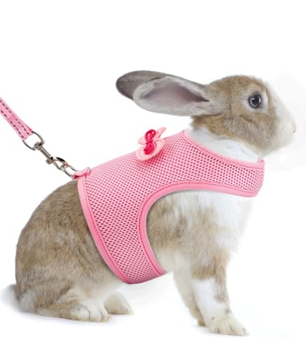 ybgpi ETM qL q n[lX [h }WbNe[v  [v ȒP U bV  nX^[ tFbg bg K ⏬ETMɍœK (M,sN)