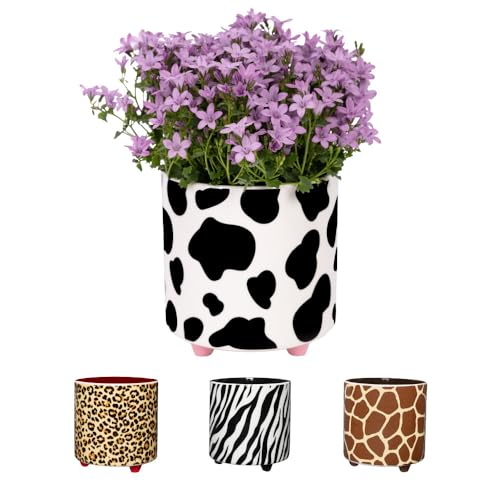 Fisura - Macetero Original con diseño de Vaca. Macetero Decorativo Interior. Maceta con Patas para Cactus. Maceta de cerámica Estampado para Flores y suculentas.13 x 12,5 cm.