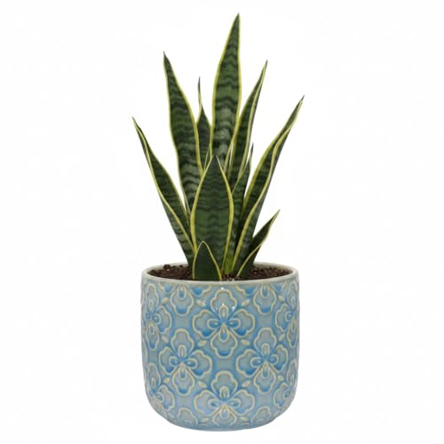 Image of Set of 2 Blue Ceramic Flower Pot Nursery Embossed Geometric Pattern Handmade Round Planter for Flowers, Herbs, Succulents Indoor Outdoor Plants Decorative Pots, 15cm Diameter (Blue)