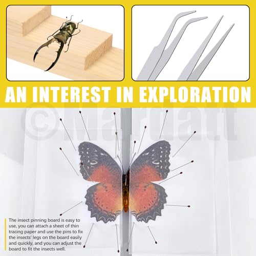 Image of Mardatt 15Pcs Making Insect Specimen Tools Kit, Insect Pinning Kit with Insect Pinning Block, Insect Pinning Board, Insect Pins, Wings Pressing Paper, Insect Display Case, Tweezers, Scissors