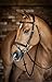 LeMieux Kudos Work Bridle - Brown - Cob