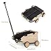 Mini-Hundewagen für Mini-Haustiere, faltbarer multifunktionaler Einkaufswagen mit ausziehbarem Ziehgriff, Doggie Wagon eingebautem Kissen und Sicherheitsseil mit Aufbewahrungstasche (Khaki)