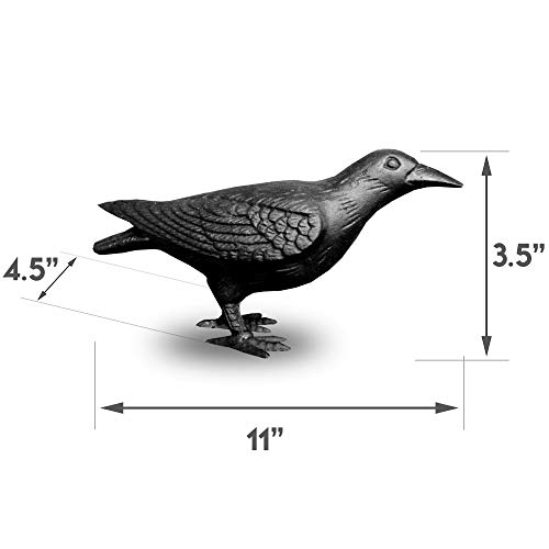 Nach Decorative Cast Iron Crow With Head Up For Indoor Or Outdoor Use, Black, Js-90-7118 #TOP1