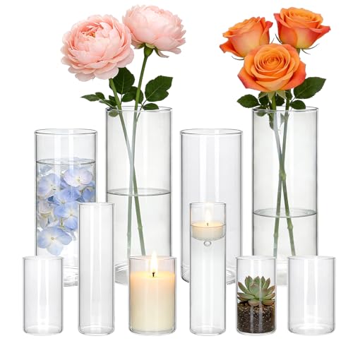 Brajttt Glass Cylinder Vase,10 Pack Glass Flower Vases,Hurricane Floating Candle