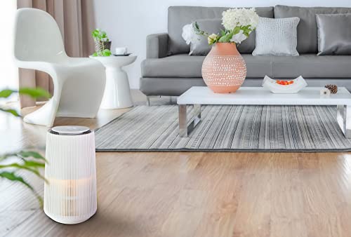 Purificador de aire HEPA silencioso SENYA para estancias de 60 m² 5