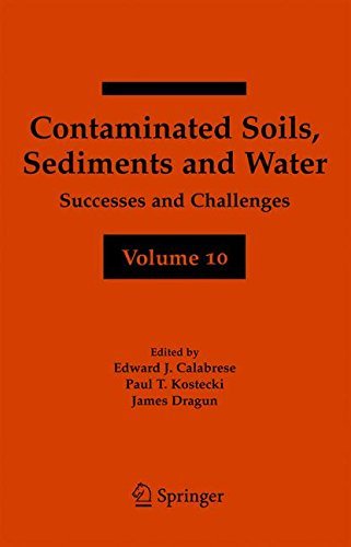 Contaminated Soils, Sediments and Water Volume 10: Successes and Challenges (Contaminated Soils, Sediments and Challenges)
