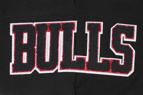 Image of Pro Standard Womens NBA Classic Chenille Pull Over Hoodie