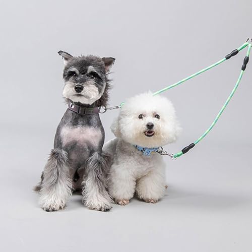 Senermter Doppelter Hundegurt | Doppelleine für Zwei Hunde,Tier Sicherheitsausrüstung Ergonomischer Griff 360 Grad Drehfunktion für Kleine Mittelgroße Große Hunderassen Wanderungen Camping