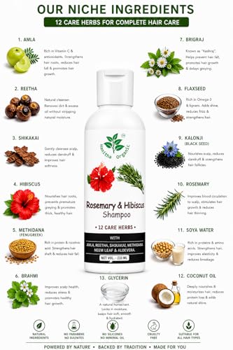 Image of Hibiscus & Rosemary Shampoo with Amla, Reetha, Shikakai, Methi, Flaxseed & Soya Water | Sulfate, SLS & Paraben Free | Hair Growth, Hair Fall Control, Men & Women Shampoo - 210ml (Pack of 1)