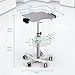 Medical Mobile Trolley Cart with Wheels - Height Adjustable Stainless Steel Dental Cart Rolling Desktop with 16.5